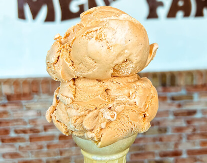 pumpkin ice cream